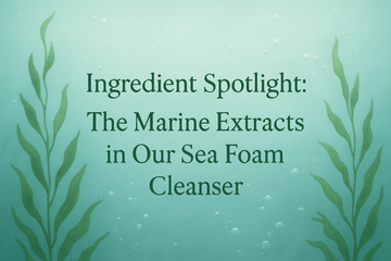 Ingredient Spotlight: The Marine Extracts in Our Sea Foam Cleanser