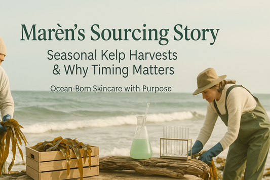 Marèn’s Sourcing Story: Seasonal Kelp Harvests & Why Timing Matters