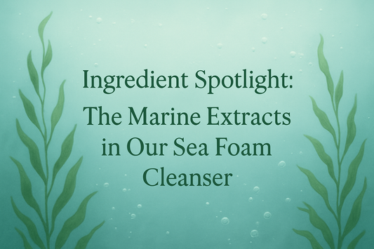 Ingredient Spotlight: The Marine Extracts in Our Sea Foam Cleanser