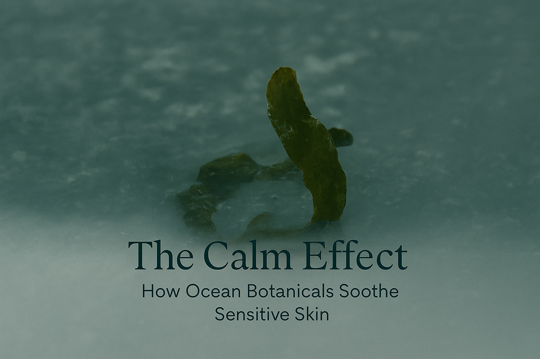 The Calm Effect: How Ocean Botanicals Soothe Sensitive Skin