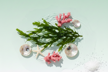 Marine skincare ingredients including fresh green seaweed, pink coral, seashells, and a starfish arranged on a seafoam green background with water ripples, representing ocean-based skincare benefits.