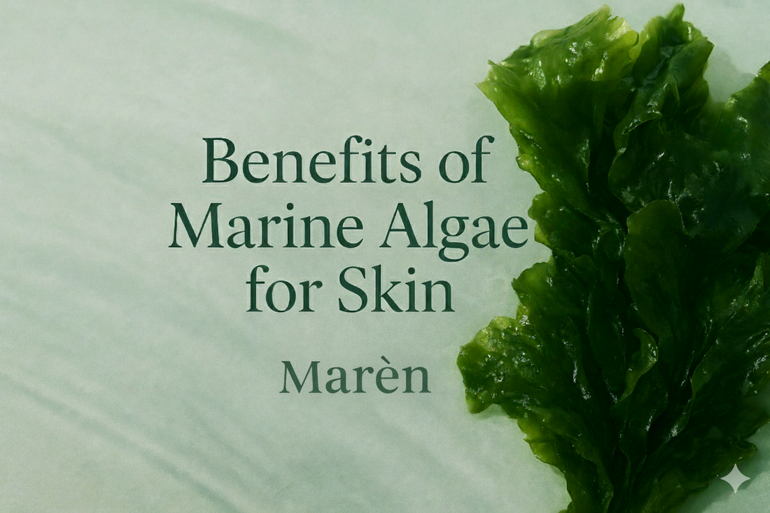 Benefits of Marine Algae for Skin