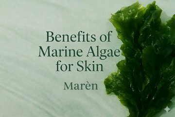 Benefits of Marine Algae for Skin